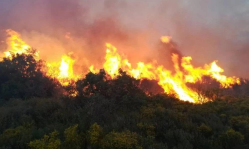 Μεγάλη φωτιά στη δυτική Φθιώτιδα απειλεί σπίτια